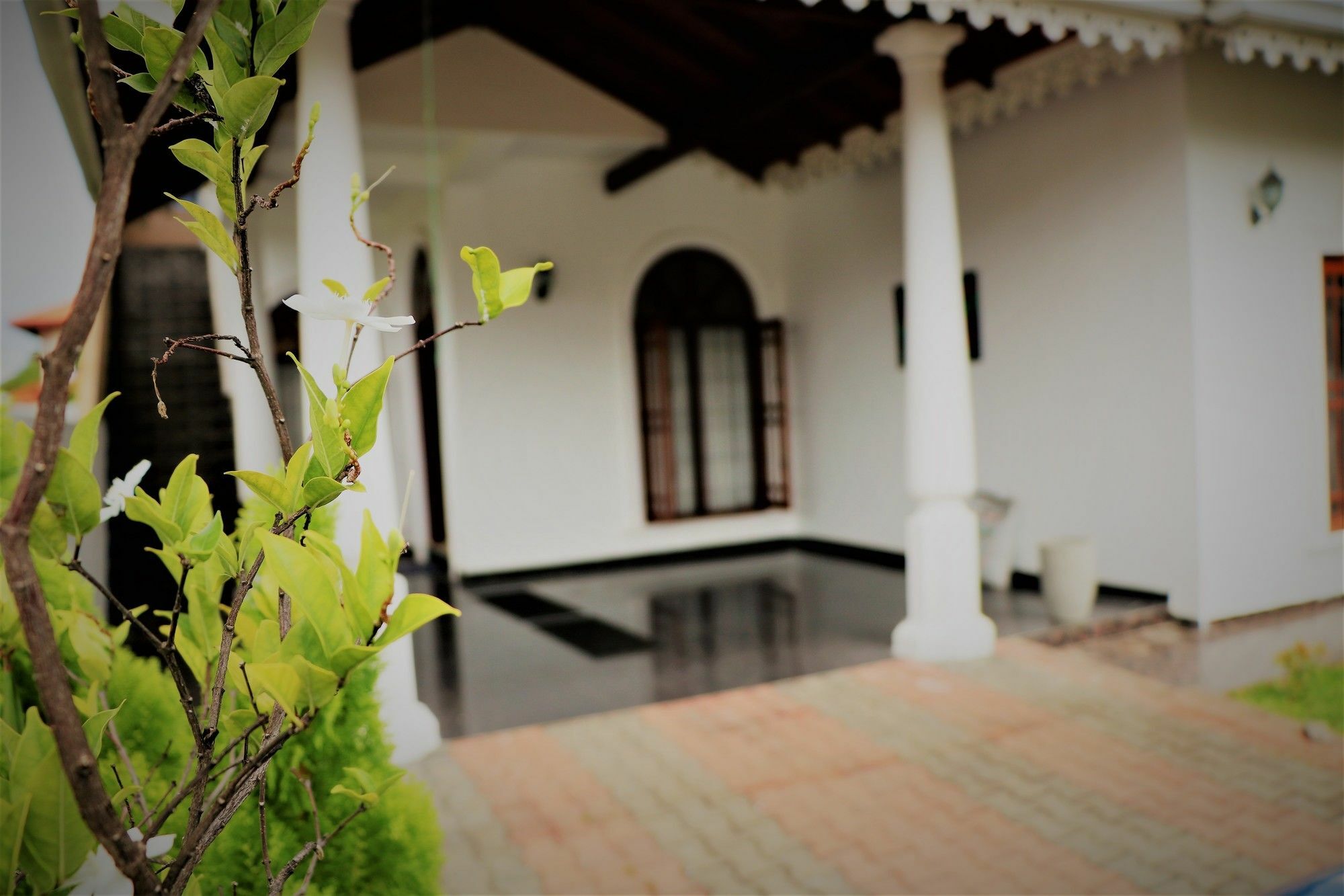 Ettukala Eos Hostels מראה חיצוני תמונה
